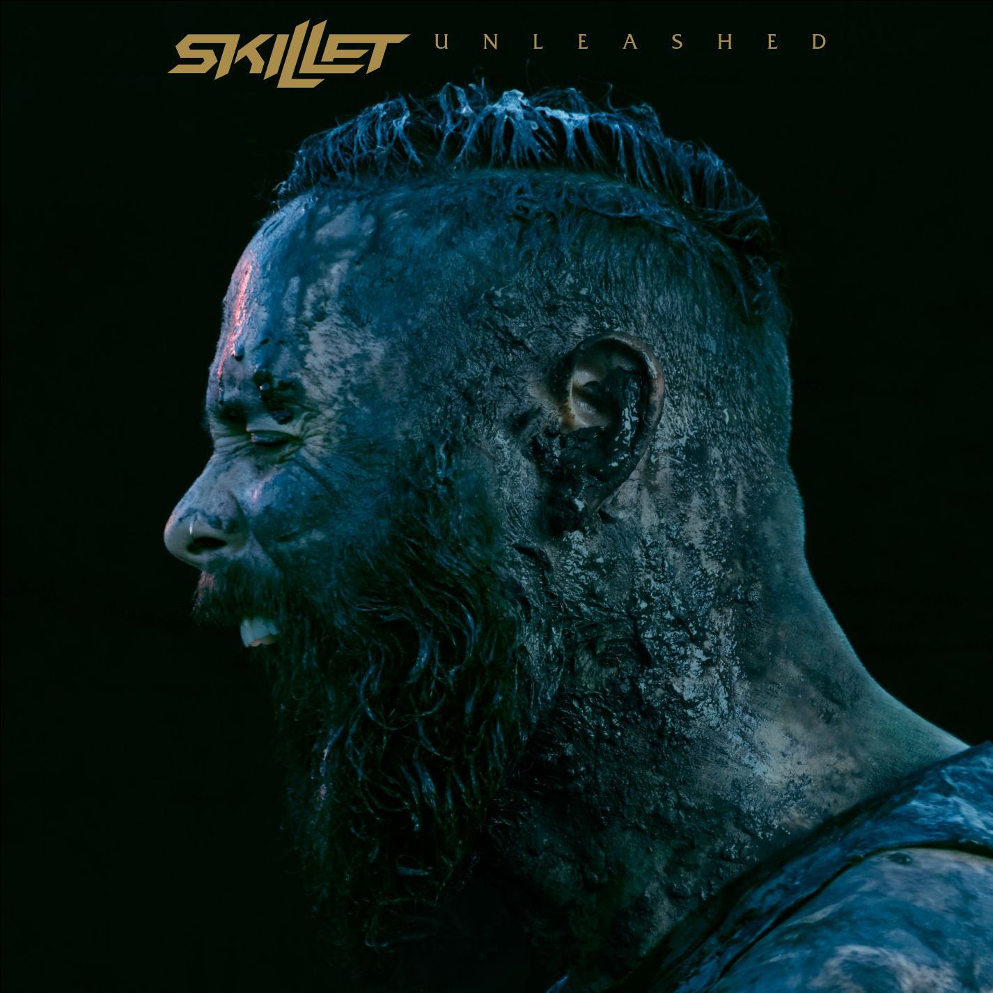Unleashed by Skillet Music Charts