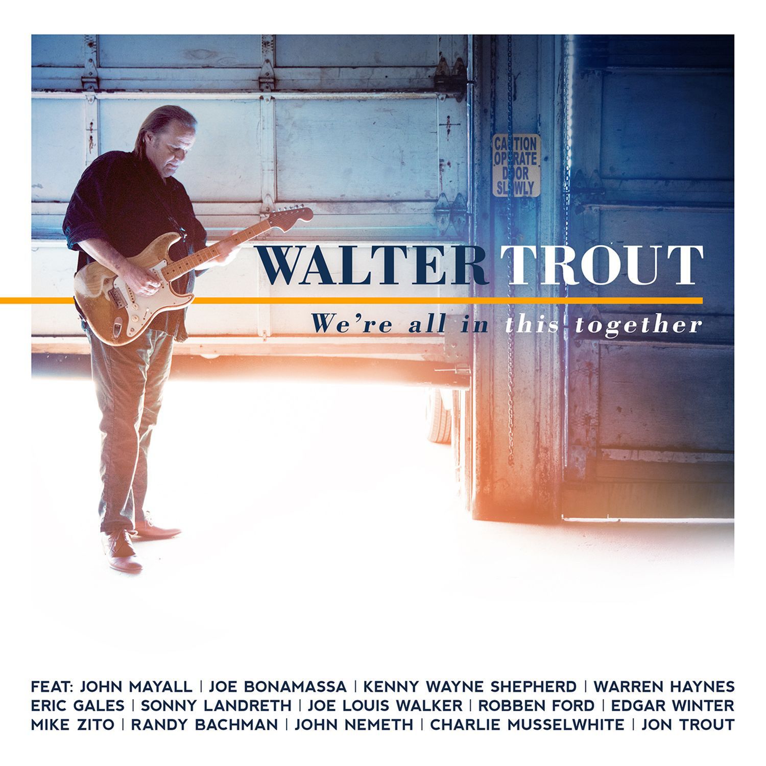 Walter Trout - We're All In This Together album cover