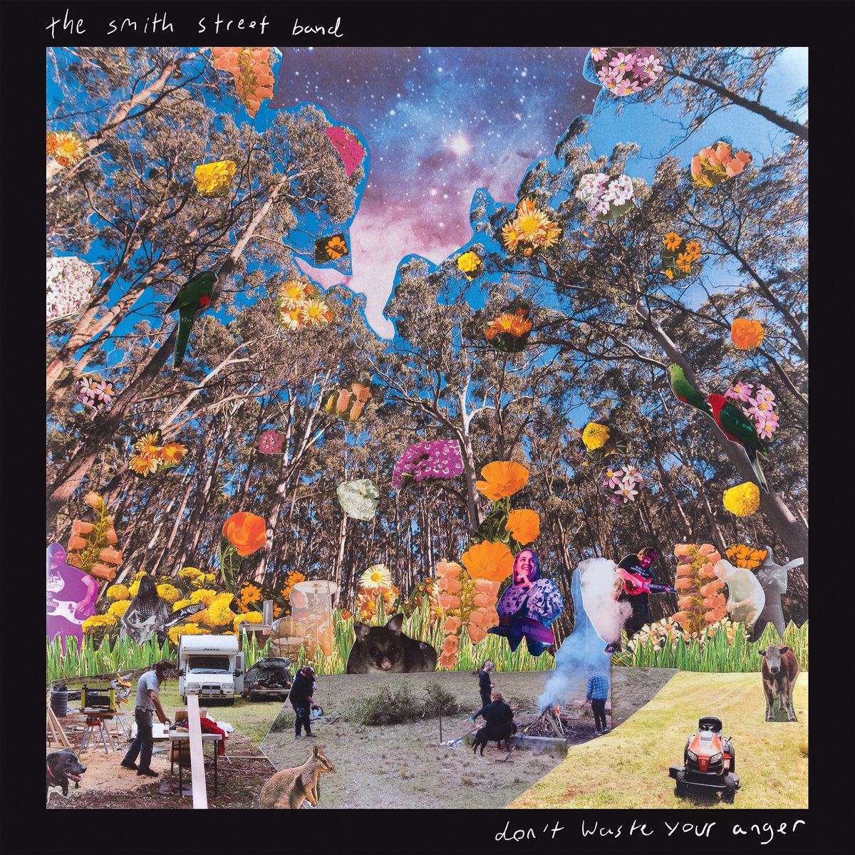 The Smith Street Band - Don't Waste Your Anger album cover