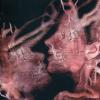 Disclaimer Ii by  Seether 