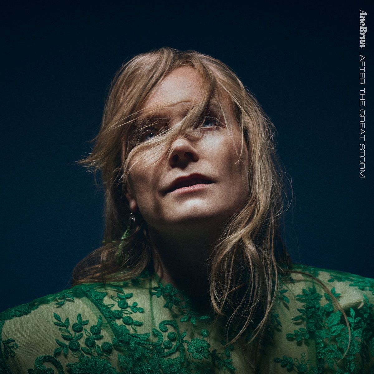 Ane Brun - After The Great Storm album cover