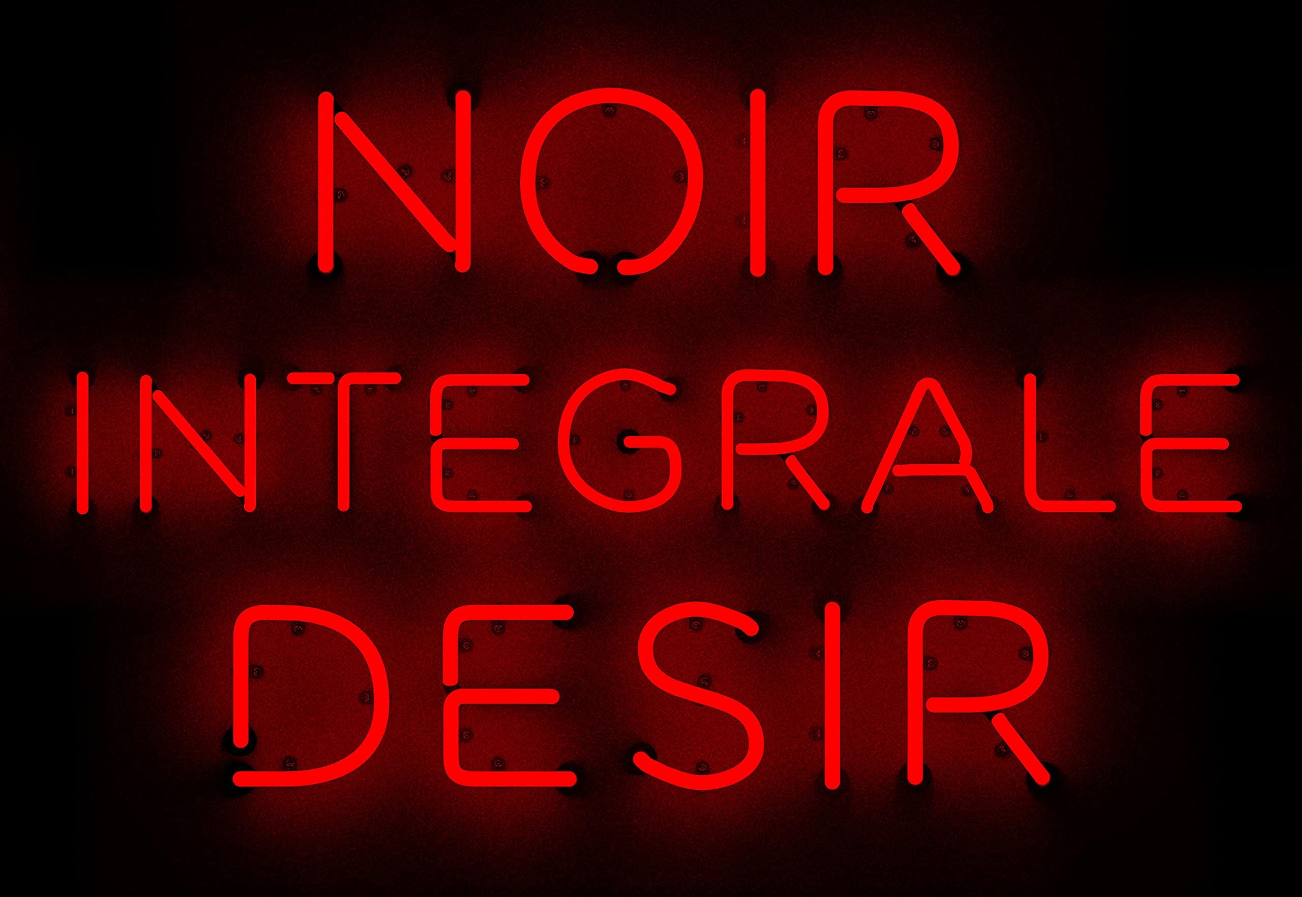 Noir Desir - Intégrale album cover
