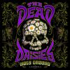 Holy Ground by  The Dead Daisies 