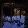 Reflets Du Monde Lointain by  Dominique A. 