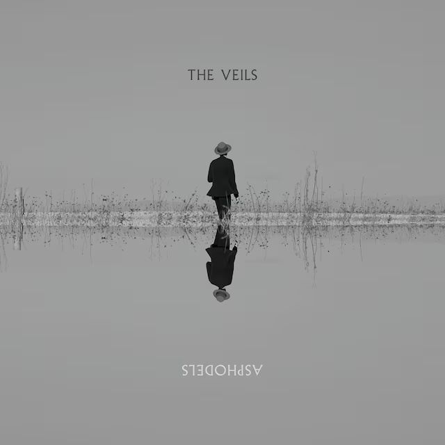 The Veils - Asphodels album cover