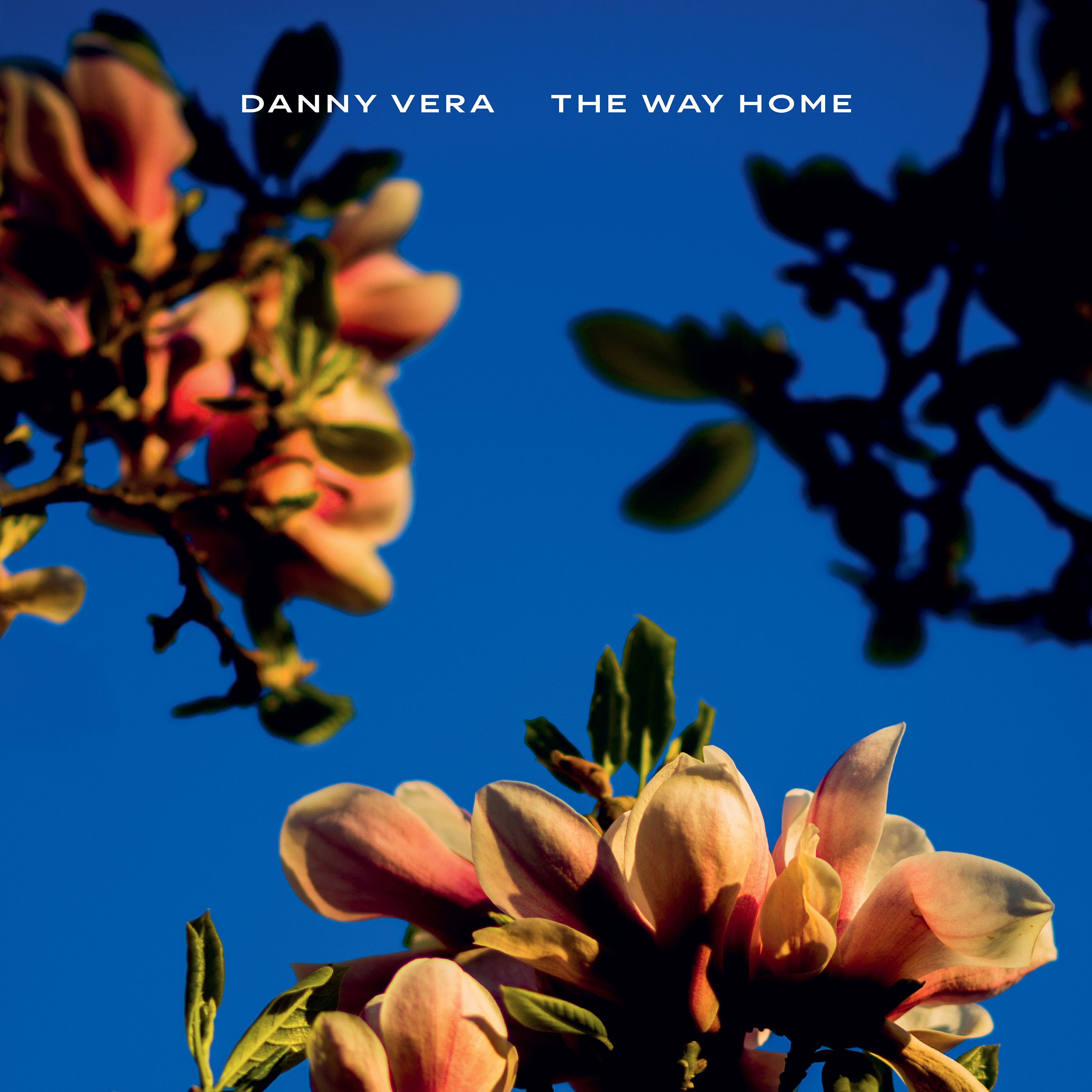 Danny Vera - The Way Home album cover