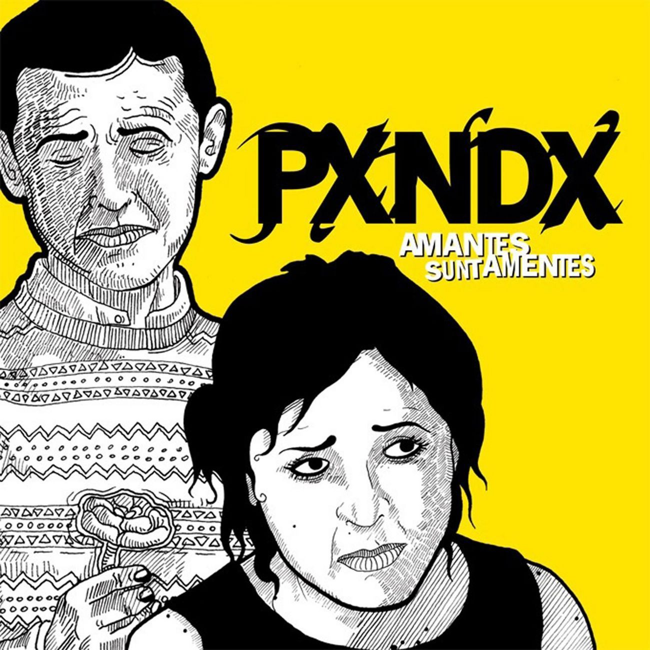 Panda - Amantes Sunt Amentes album cover
