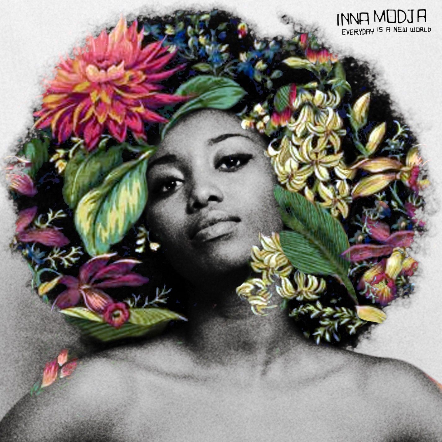 Inna Modja - Everyday Is A New World album cover