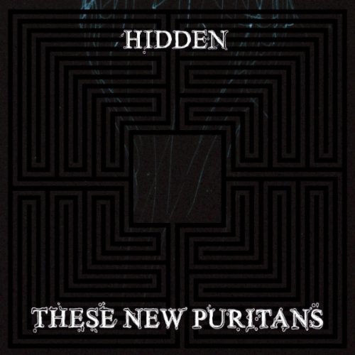 These New Puritans - Hidden album cover