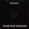 Hidden by  These New Puritans 