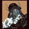 The Big Roar by  Joy Formidable