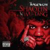 Shaolin Vs. Wu-tang by  Raekwon 