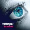Destination Now by  The Potbelleez 