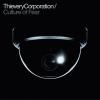 Culture Of Fear by  Thievery Corporation 