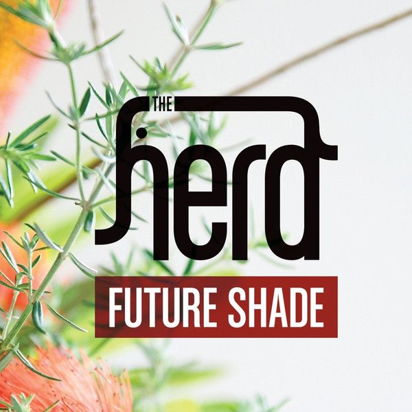 Herd - Future Shade album cover