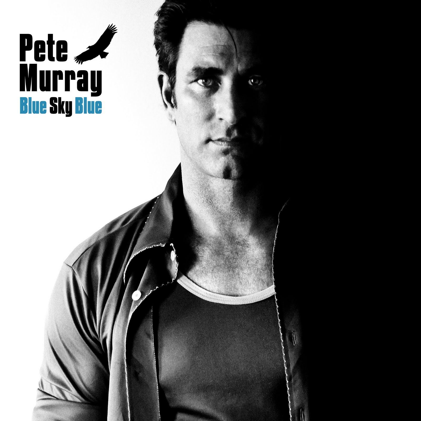 Pete Murray - Blue Sky Blue album cover