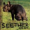 Seether: 2002-2013 by  Seether 