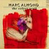 The Velvet Trail by  Marc Almond 
