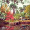 Rugen Las Flores by  Mcenroe 